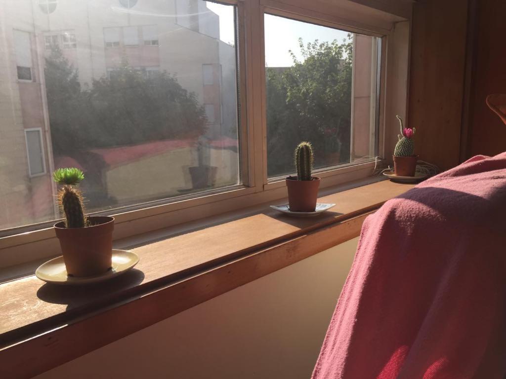 Enjoy It Home Porto 히우 틴투 외부 사진