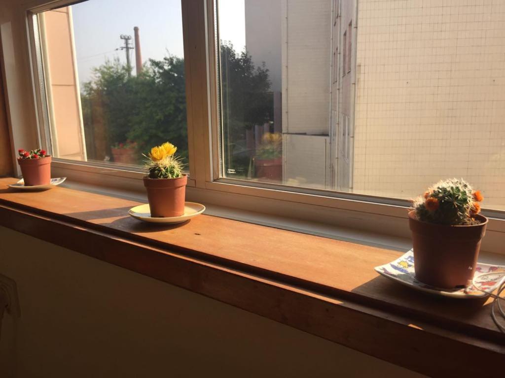 Enjoy It Home Porto 히우 틴투 외부 사진